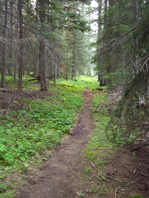 Pleasant Valley Trail.